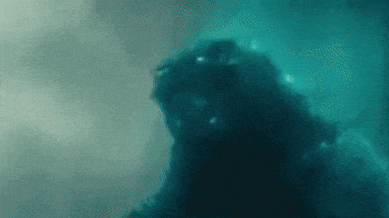 Meme GIF