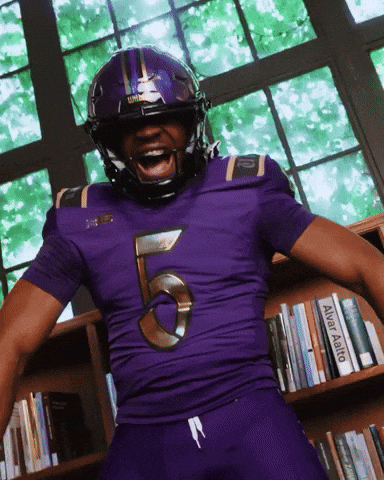 Northwestern Football Library GIF by Northwestern Athletics