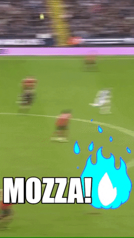 goal scotland GIF by West Bromwich Albion