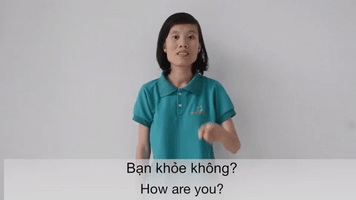 Sign Language Cds GIF