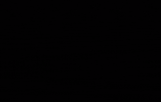 Smp GIF