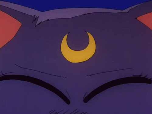 Sailor Moon Cat GIF