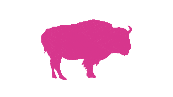 Production Company Film Sticker by Pink Buffalo Films