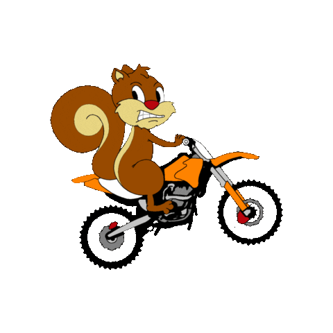 Motorcycle Squirrel Sticker by BroGnarly