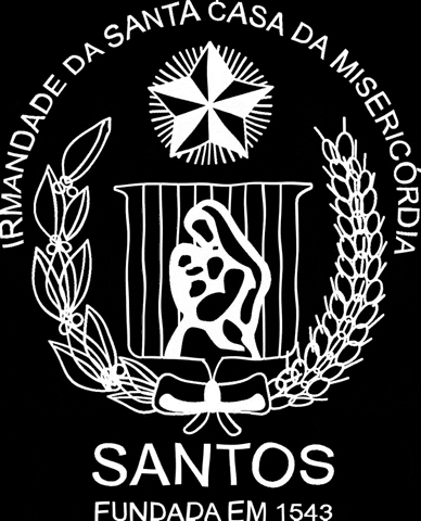 Santa Casa de Santos GIF