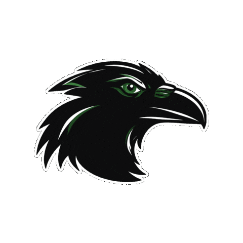 Rapoportacademy Sticker by Rapoport Academy Public School