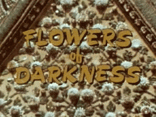 Open Knowledge Vintage GIF by Okkult Motion Pictures