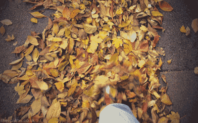 source.gif