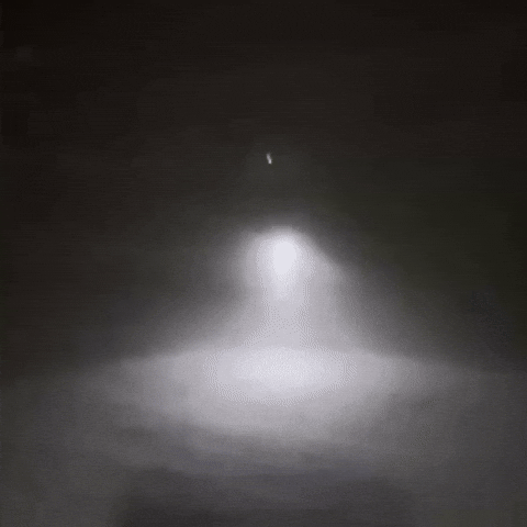 Blizzard GIF