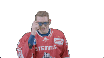 Hockey Family Sticker by Eisbären Regensburg