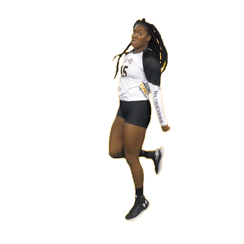 Umbc Volleyball Sticker