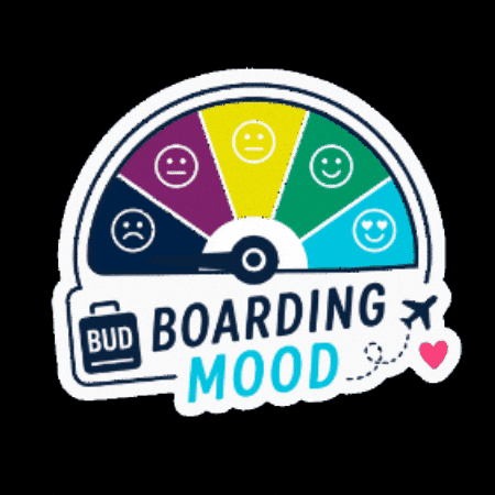 Excited Mood GIF by Budapest Airport