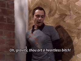 The Big Bang Theory GIF
