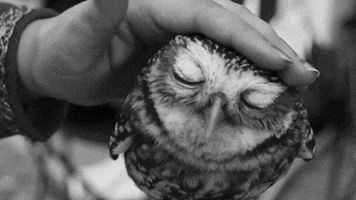 chilling black and white GIF