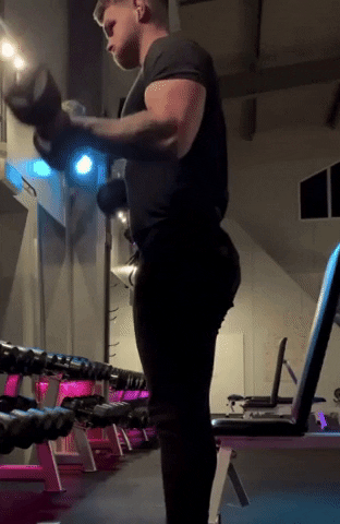 giphy.gif