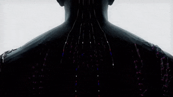 Pylik GIF