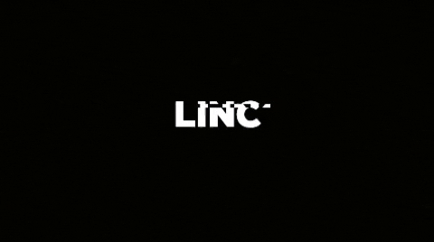 Lince Gato GIF - Lince Gato Toto - Discover & Share GIFs