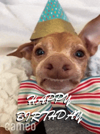 Celebrate Happy Birthday Gif By Cameo Find Share On Giphy
