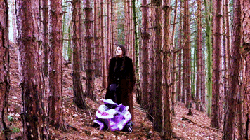 Forest GIF