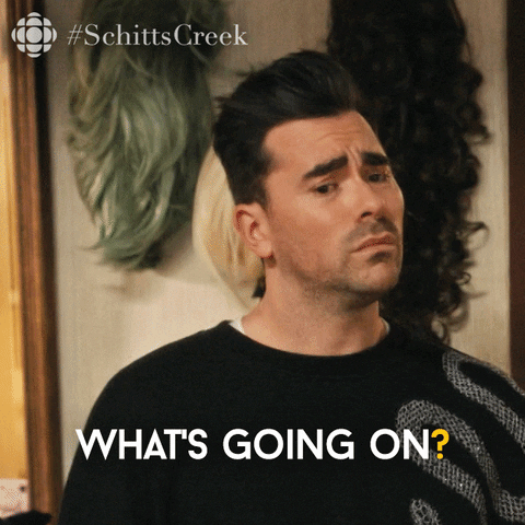Gif of David from Schitt's Creek saying 'What's going on?"