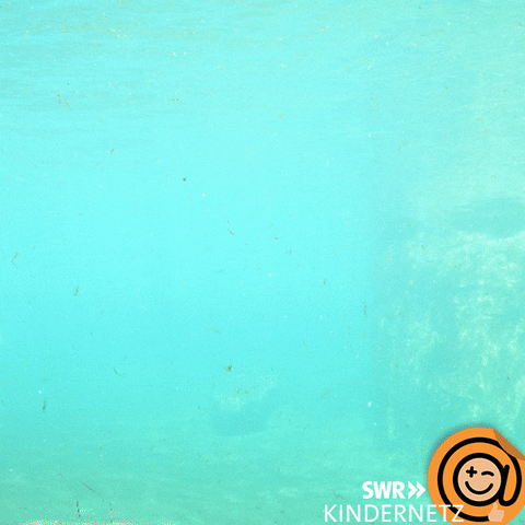 Under Water Swimming GIF by SWR Kindernetz