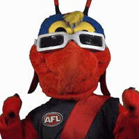 Aussie Rules Sport GIF by Essendon FC