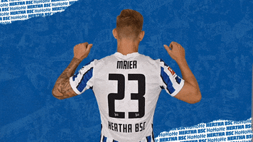 Arne Maier Var GIF by Hertha BSC