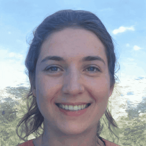 Animated GIF