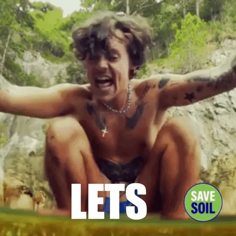 Happy Harry Styles GIF by Save Soil