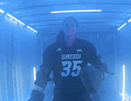 College Sports Lights GIF by Delaware Blue Hens