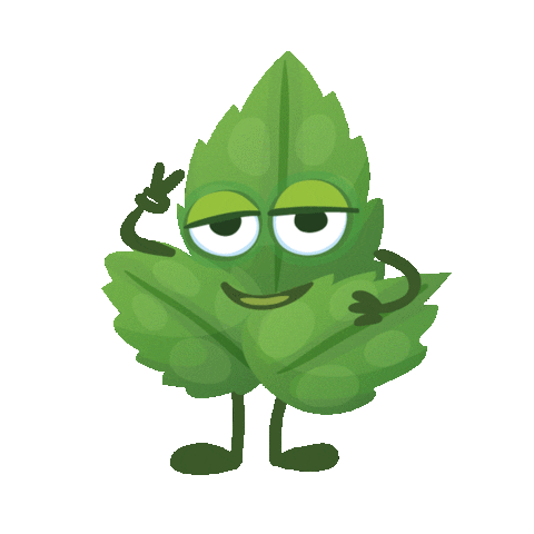 MiWadi_Ireland Sticker