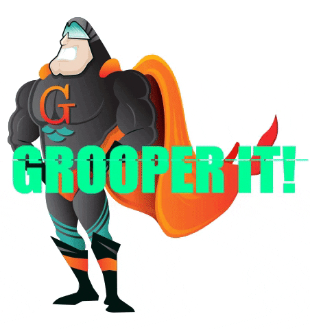 Just Grooper It GIF by Grooper