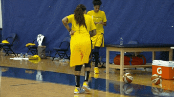 Los Angeles Sparks Basketball GIF by The Official Page of the Los Angeles Sparks