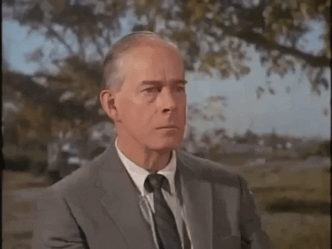 Joe Friday GIFs - Get the best GIF on GIPHY