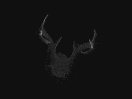 Deer GIF