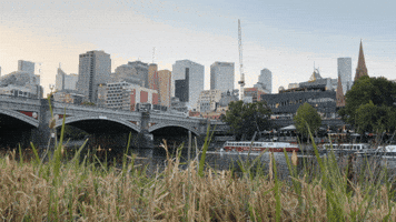 Melbourne GIF