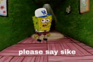 Kentucky Wildcats Spongebob GIF