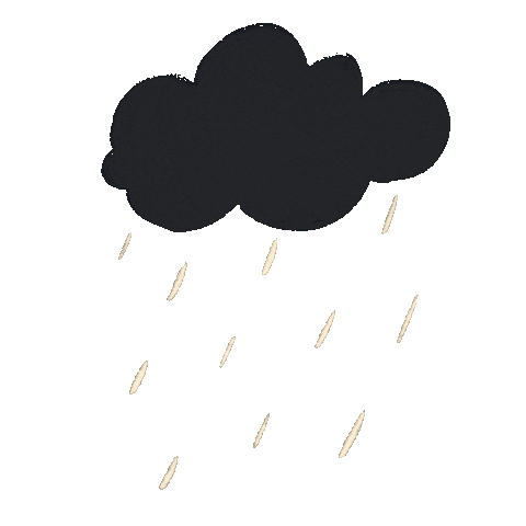 Rain Sticker