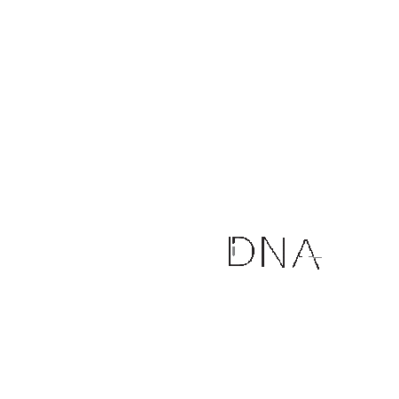 Dna Sport Wear Sticker