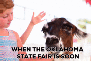 oklahoma city ok state fair GIF by Oklahoma State Fair, Inc.
