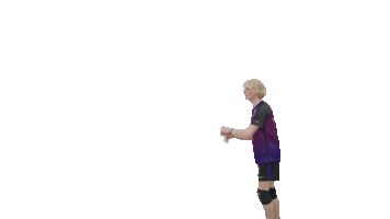 Volleyball Gopanthers Sticker by University of Brighton