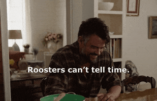 thelosthusband laugh texas roosters the lost husband GIF