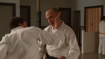 Judo Chop GIFs - Find & Share on GIPHY