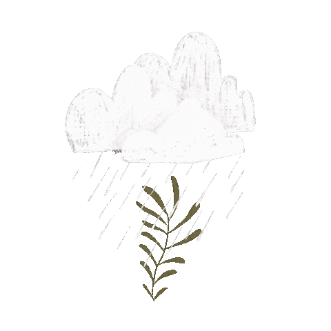 Illustration Sticker