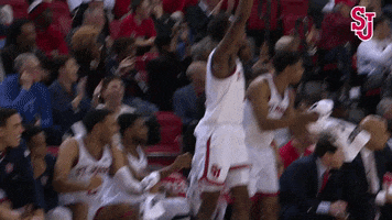 Clapping Cheering GIF by St. John's Red Storm