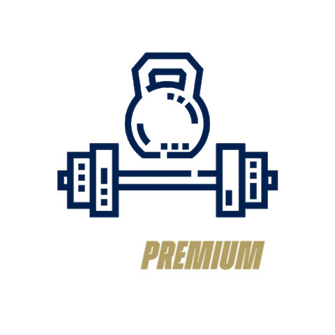 No Pain No Gain Academia Sticker by Linha Premium Nutrition