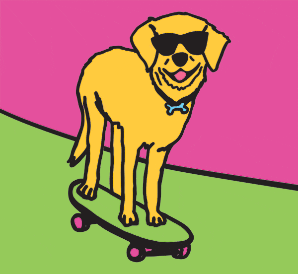 Dog Sunglasses GIF Find & Share on GIPHY
