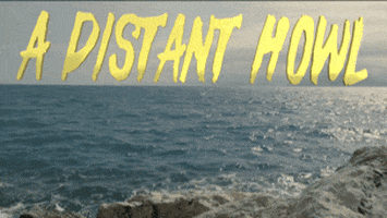 Basset Hound Dog GIF by Four Rest Films