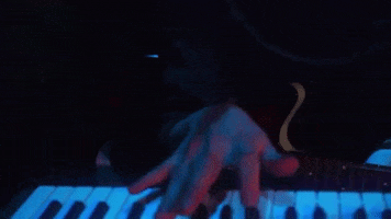 live music piano GIF by Polyvinyl Records
