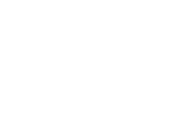 Wild Tomorrow Fund Sticker